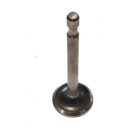 Valve d'échappement TECUMSEH 29313C 29313C Tecumseh