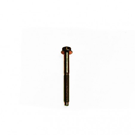 Briggs & Stratton screw 690904 Briggs & Stratton - 1