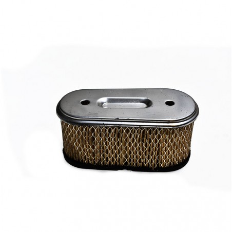 Briggs & Stratton air filter 491021 Briggs & Stratton - 1