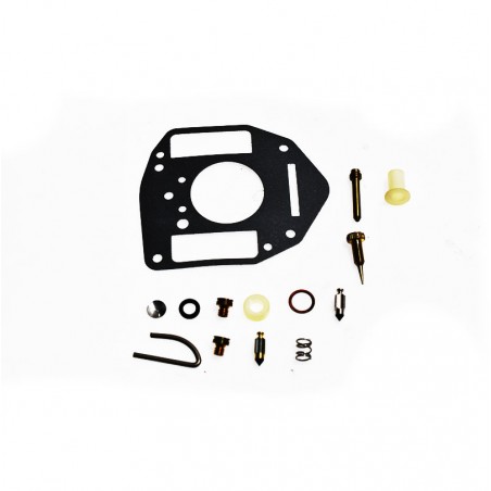 Briggs & Stratton carburetor repair kit 807850 Briggs & Stratton - 1