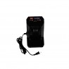 Chargeur a batterie Toro 88602 Toro - 1