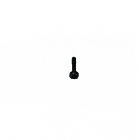 Husqvarna screw 525887001 Husqvarna - 1