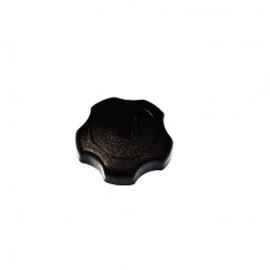 Fuel cap Briggs & Stratton 795027