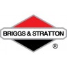 Briggs & Stratton